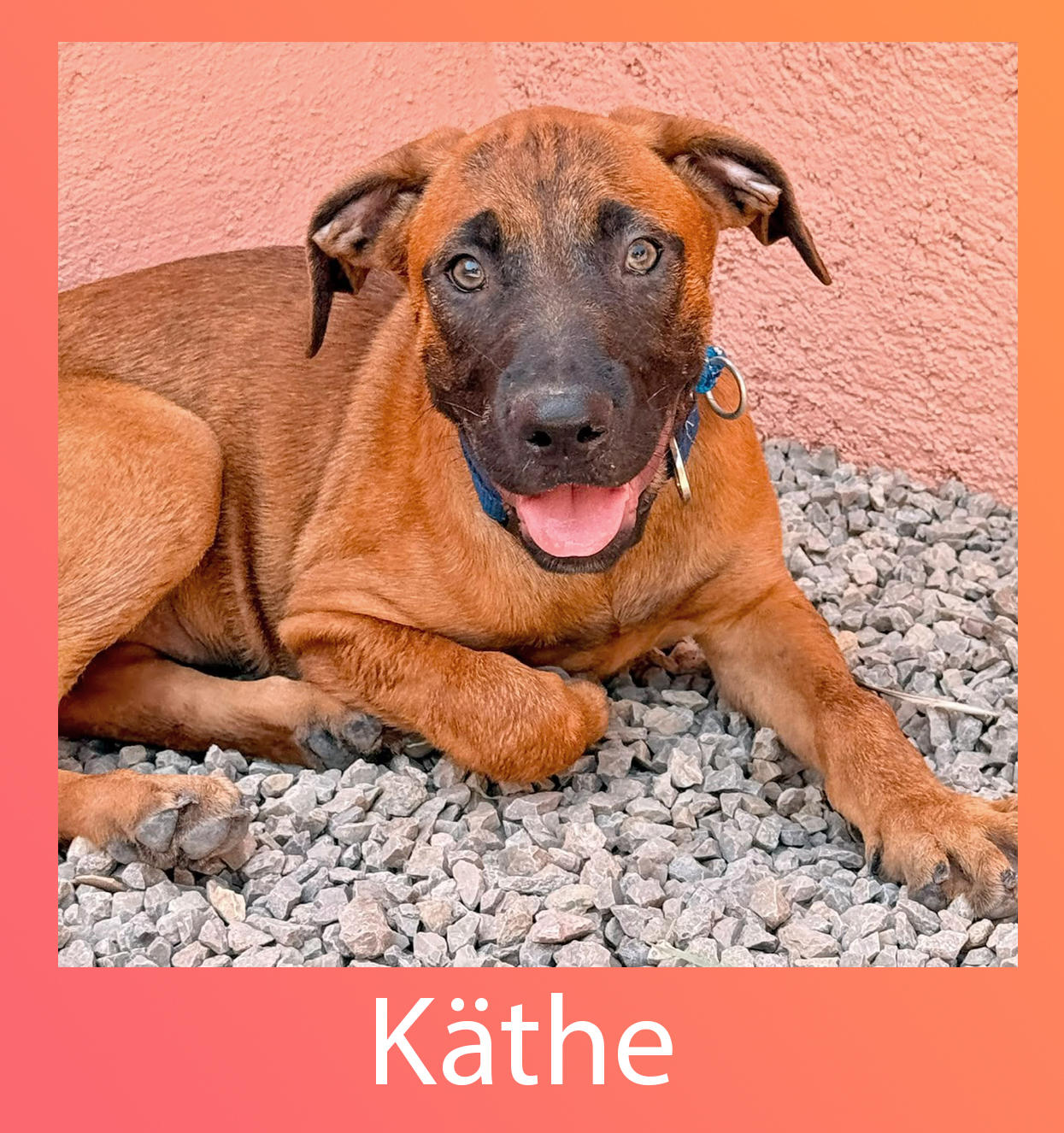 Käthe